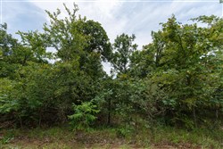 property photo for Timber Ridge Tract 20, 2.58 acres for sale in McIntosh County, Oklahoma