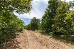 property photo for Timber Ridge Tract 20, 2.58 acres for sale in McIntosh County, Oklahoma