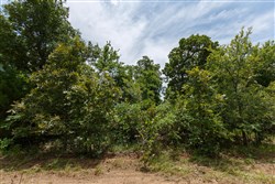 property photo for Timber Ridge Tract 20, 2.58 acres for sale in McIntosh County, Oklahoma