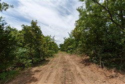 property photo for Timber Ridge Tract 21, 2.58 acres for sale in McIntosh County, Oklahoma