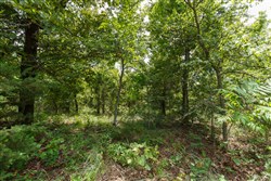 property photo for Timber Ridge Tract 21, 2.58 acres for sale in McIntosh County, Oklahoma