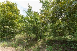 property photo for Timber Ridge Tract 21, 2.58 acres for sale in McIntosh County, Oklahoma
