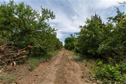 property photo for Timber Ridge Tract 21, 2.58 acres for sale in McIntosh County, Oklahoma