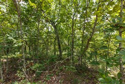 property photo for Timber Ridge Tract 21, 2.58 acres for sale in McIntosh County, Oklahoma