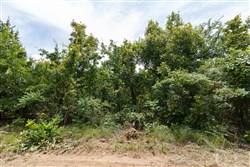 property photo for Timber Ridge Tract 21, 2.58 acres for sale in McIntosh County, Oklahoma