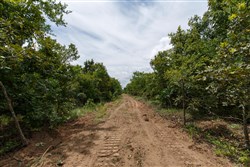 property photo for Timber Ridge Tract 22, 2.58 acres for sale in McIntosh County, Oklahoma