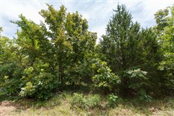 property photo for Timber Ridge Tract 22, 2.58 acres for sale in McIntosh County, Oklahoma