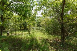 property photo for Timber Ridge Tract 22, 2.58 acres for sale in McIntosh County, Oklahoma