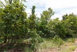 property photo for Timber Ridge Tract 22, 2.58 acres for sale in McIntosh County, Oklahoma