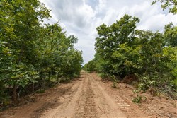 property photo for Timber Ridge Tract 23, 2.58 acres for sale in McIntosh County, Oklahoma