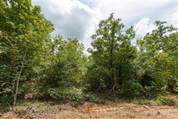property photo for Timber Ridge Tract 23, 2.58 acres for sale in McIntosh County, Oklahoma