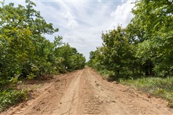 property photo for Timber Ridge Tract 24, 2.58 acres for sale in McIntosh County, Oklahoma