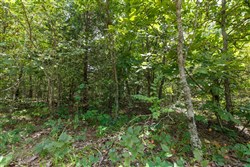 property photo for Timber Ridge Tract 24, 2.58 acres for sale in McIntosh County, Oklahoma