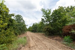 property photo for Timber Ridge Tract 24, 2.58 acres for sale in McIntosh County, Oklahoma