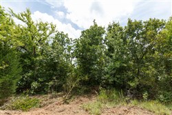 property photo for Timber Ridge Tract 24, 2.58 acres for sale in McIntosh County, Oklahoma