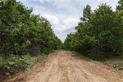 property photo for Timber Ridge Tract 24, 2.58 acres for sale in McIntosh County, Oklahoma