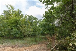 property photo for Timber Ridge Tract 24, 2.58 acres for sale in McIntosh County, Oklahoma
