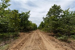 property photo for Timber Ridge Tract 25, 2.58 acres for sale in McIntosh County, Oklahoma