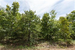 property photo for Timber Ridge Tract 25, 2.58 acres for sale in McIntosh County, Oklahoma