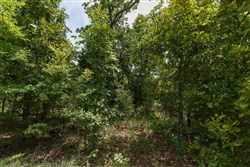 property photo for Timber Ridge Tract 25, 2.58 acres for sale in McIntosh County, Oklahoma
