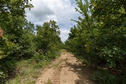 property photo for Timber Ridge Tract 25, 2.58 acres for sale in McIntosh County, Oklahoma