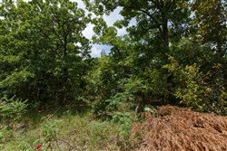 property photo for Timber Ridge Tract 25, 2.58 acres for sale in McIntosh County, Oklahoma