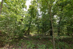 Timber Ridge Tract 26