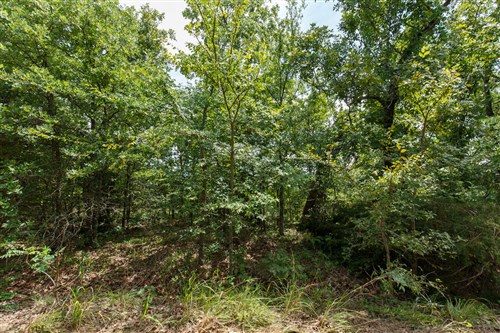 Timber Ridge Tract 26