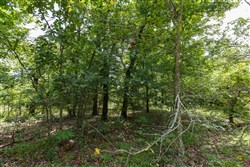 Timber Ridge Tract 26