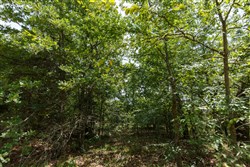 Timber Ridge Tract 26