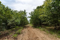 property photo for Timber Ridge Tract 27, 2.58 acres for sale in McIntosh County, Oklahoma