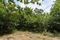 property photo for Timber Ridge Tract 27, 2.58 acres for sale in McIntosh County, Oklahoma