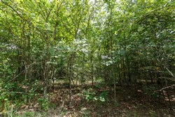 property photo for Timber Ridge Tract 27, 2.58 acres for sale in McIntosh County, Oklahoma