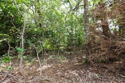 property photo for Timber Ridge Tract 27, 2.58 acres for sale in McIntosh County, Oklahoma