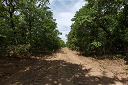 property photo for Timber Ridge Tract 28, 2.66 acres for sale in McIntosh County, Oklahoma