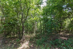property photo for Timber Ridge Tract 28, 2.66 acres for sale in McIntosh County, Oklahoma