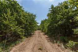 property photo for Timber Ridge Tract 29, 2.66 acres for sale in McIntosh County, Oklahoma