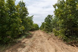 property photo for Timber Ridge Tract 3, 2.57 acres for sale in McIntosh County, Oklahoma