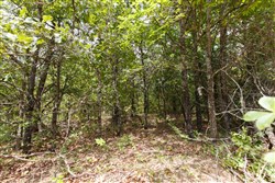 property photo for Timber Ridge Tract 3, 2.57 acres for sale in McIntosh County, Oklahoma