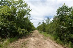 property photo for Timber Ridge Tract 30, 2.66 acres for sale in McIntosh County, Oklahoma