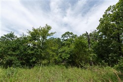 property photo for Timber Ridge Tract 30, 2.66 acres for sale in McIntosh County, Oklahoma
