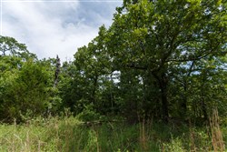property photo for Timber Ridge Tract 30, 2.66 acres for sale in McIntosh County, Oklahoma