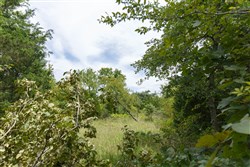 property photo for Timber Ridge Tract 31, 2.66 acres for sale in McIntosh County, Oklahoma