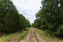 property photo for Timber Ridge Tract 31, 2.66 acres for sale in McIntosh County, Oklahoma