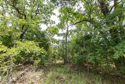 property photo for Timber Ridge Tract 31, 2.66 acres for sale in McIntosh County, Oklahoma