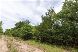 property photo for Timber Ridge Tract 31, 2.66 acres for sale in McIntosh County, Oklahoma