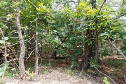 property photo for Timber Ridge Tract 31, 2.66 acres for sale in McIntosh County, Oklahoma