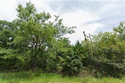property photo for Timber Ridge Tract 32, 2.66 acres for sale in McIntosh County, Oklahoma