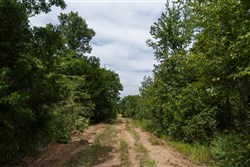 property photo for Timber Ridge Tract 32, 2.66 acres for sale in McIntosh County, Oklahoma