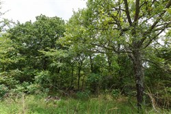 property photo for Timber Ridge Tract 32, 2.66 acres for sale in McIntosh County, Oklahoma